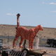 Image for article titled Meet Arizona's dilapidated roadside dinosaurs